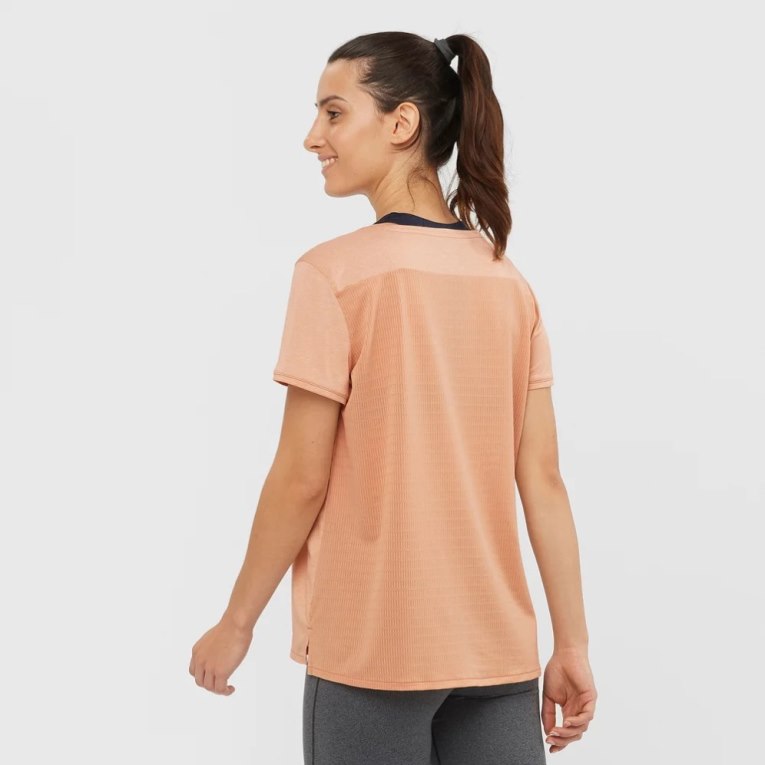 Salomon Outline Summer Kratke Sleeve Tricko Damske Koralove | SK 0NORGT